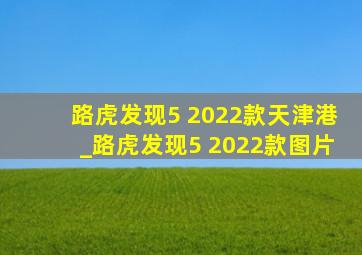 路虎发现5 2022款天津港_路虎发现5 2022款图片